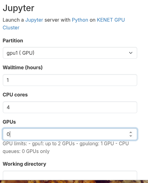 File:OOD JupyterLab Form.png